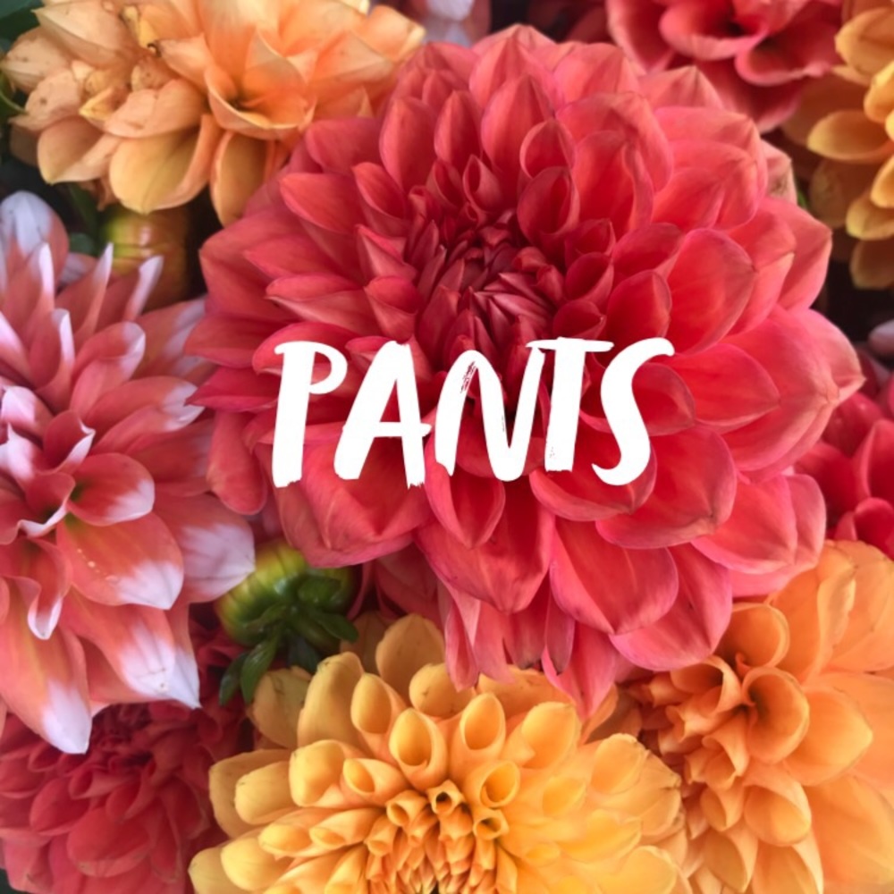 Pants